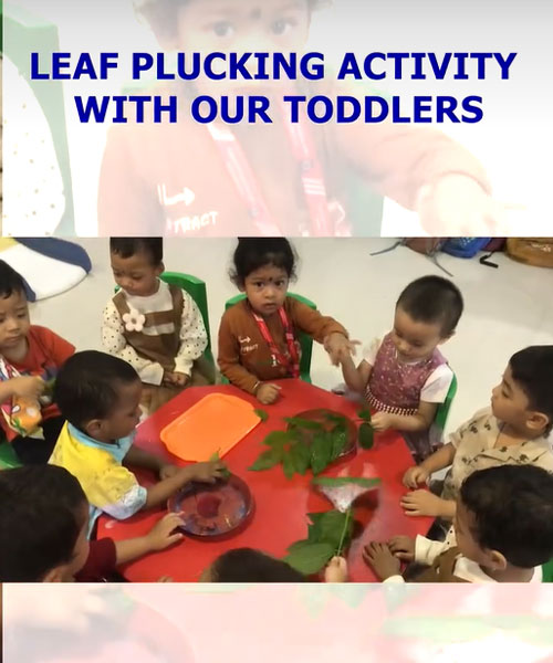 Leaf Plucking Activity With Our Toddlers